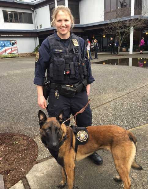 Canine police pic